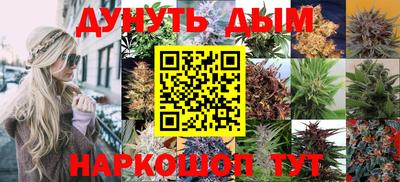 PSILOCYBIN Севастополь