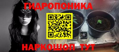 гидропоника Славгород